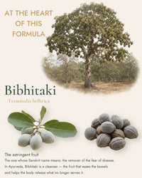 Triphala - Daily Cleanse & Rejuvenative